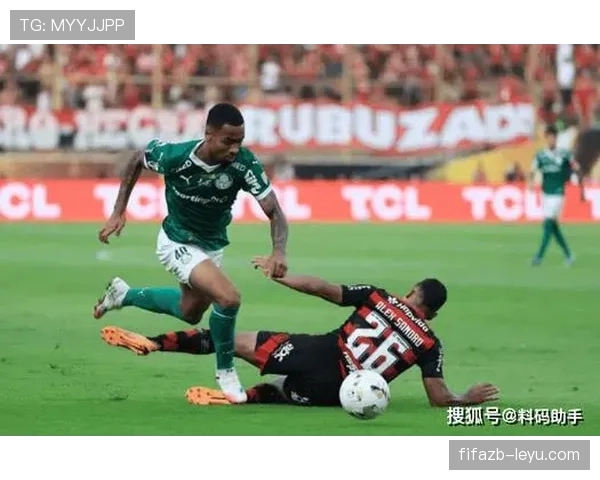 南美足坛新星闪耀,年轻前锋强势崛起引转会市场瞩目 南美足坛新星闪耀,年轻前锋强势崛起引转会市场瞩目