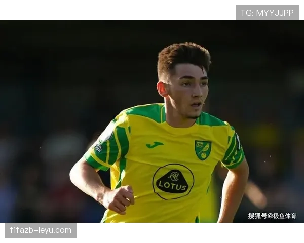 诺维奇金丝雀强势复苏，新赛季斗志昂扬士气高涨